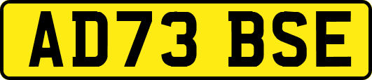 AD73BSE