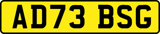 AD73BSG