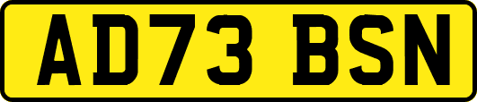 AD73BSN