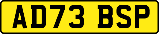 AD73BSP