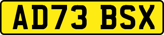 AD73BSX