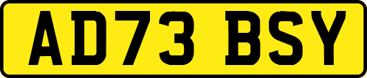 AD73BSY