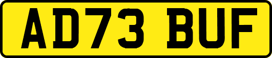 AD73BUF