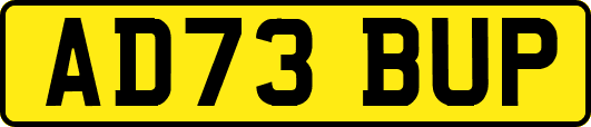 AD73BUP
