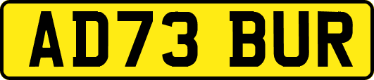AD73BUR