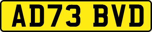 AD73BVD