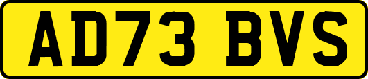 AD73BVS