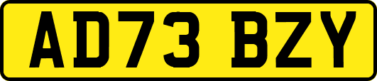AD73BZY