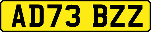 AD73BZZ