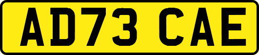 AD73CAE