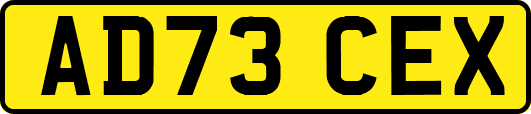 AD73CEX