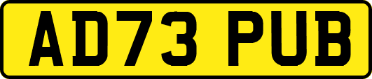 AD73PUB