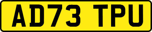 AD73TPU
