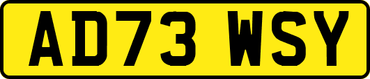 AD73WSY