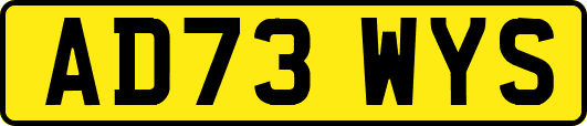 AD73WYS