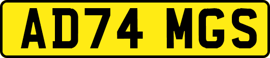AD74MGS