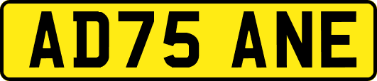 AD75ANE