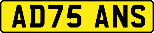 AD75ANS