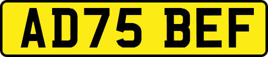AD75BEF
