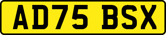 AD75BSX