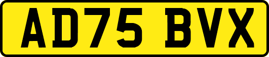 AD75BVX