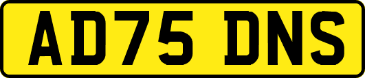 AD75DNS