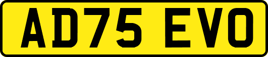 AD75EVO