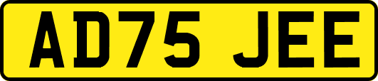 AD75JEE