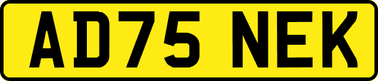 AD75NEK