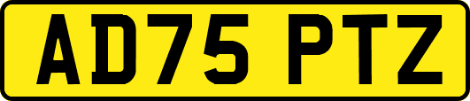 AD75PTZ