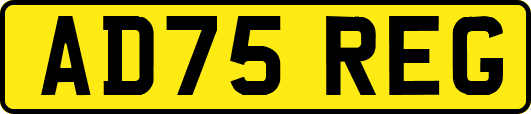 AD75REG