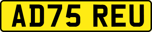 AD75REU