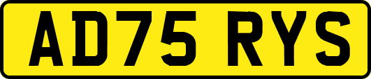 AD75RYS