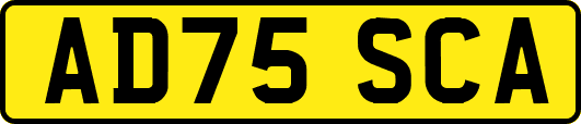 AD75SCA