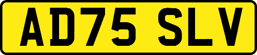 AD75SLV