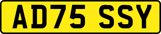 AD75SSY