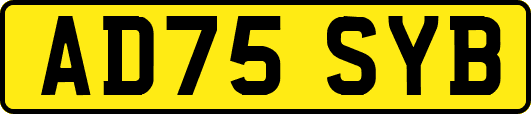 AD75SYB