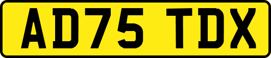 AD75TDX