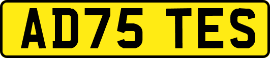 AD75TES