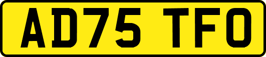 AD75TFO