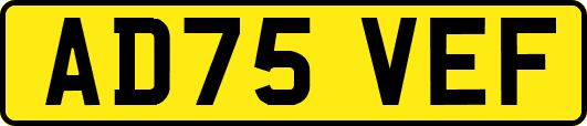 AD75VEF