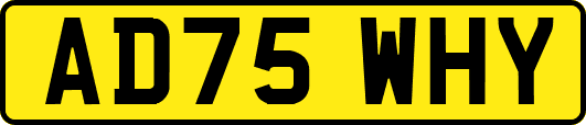 AD75WHY