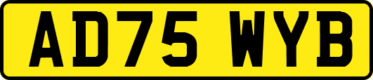 AD75WYB