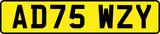 AD75WZY