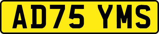 AD75YMS