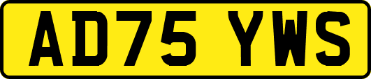 AD75YWS
