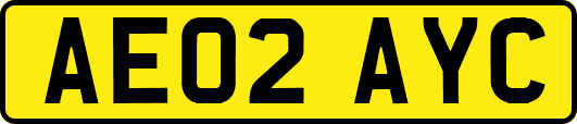 AE02AYC