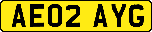 AE02AYG