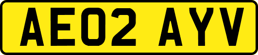 AE02AYV