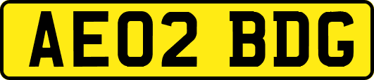 AE02BDG